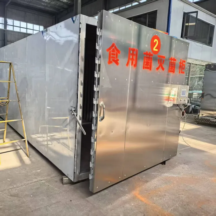 ASXH6200A Sterilization Chamber - Image 4