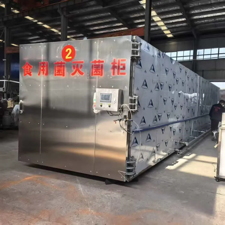 ASXH6200A Sterilization Chamber - Image 6
