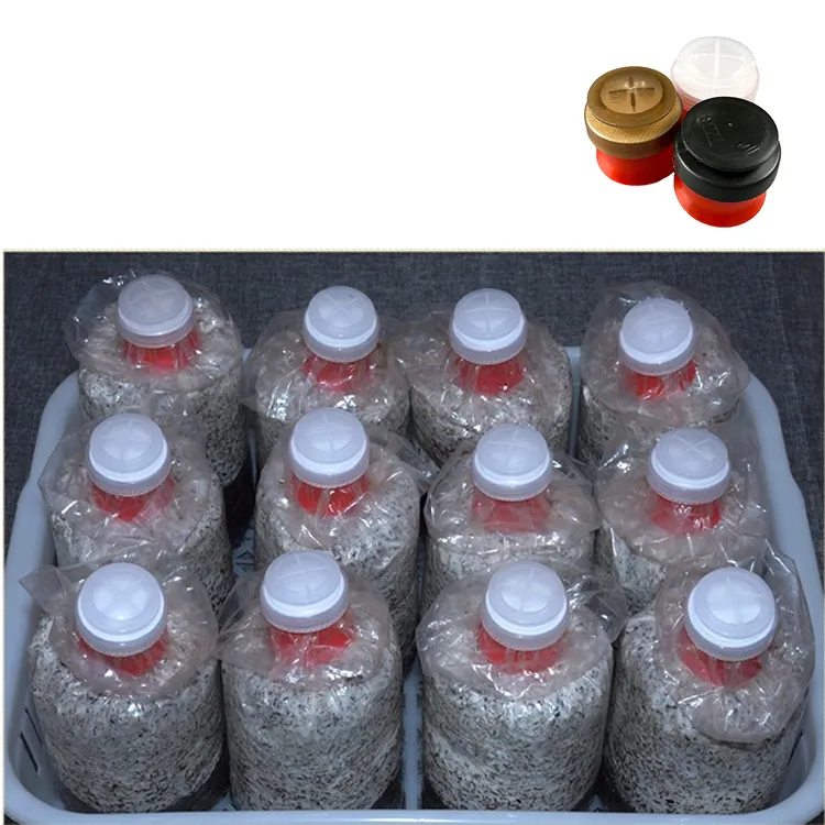 BCXH38A Mushroom Bag Collar & Cap - Image 5