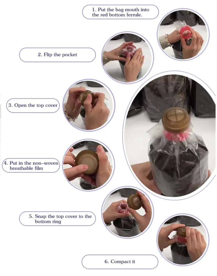 BCXH38A Mushroom Bag Collar & Cap - Image 7