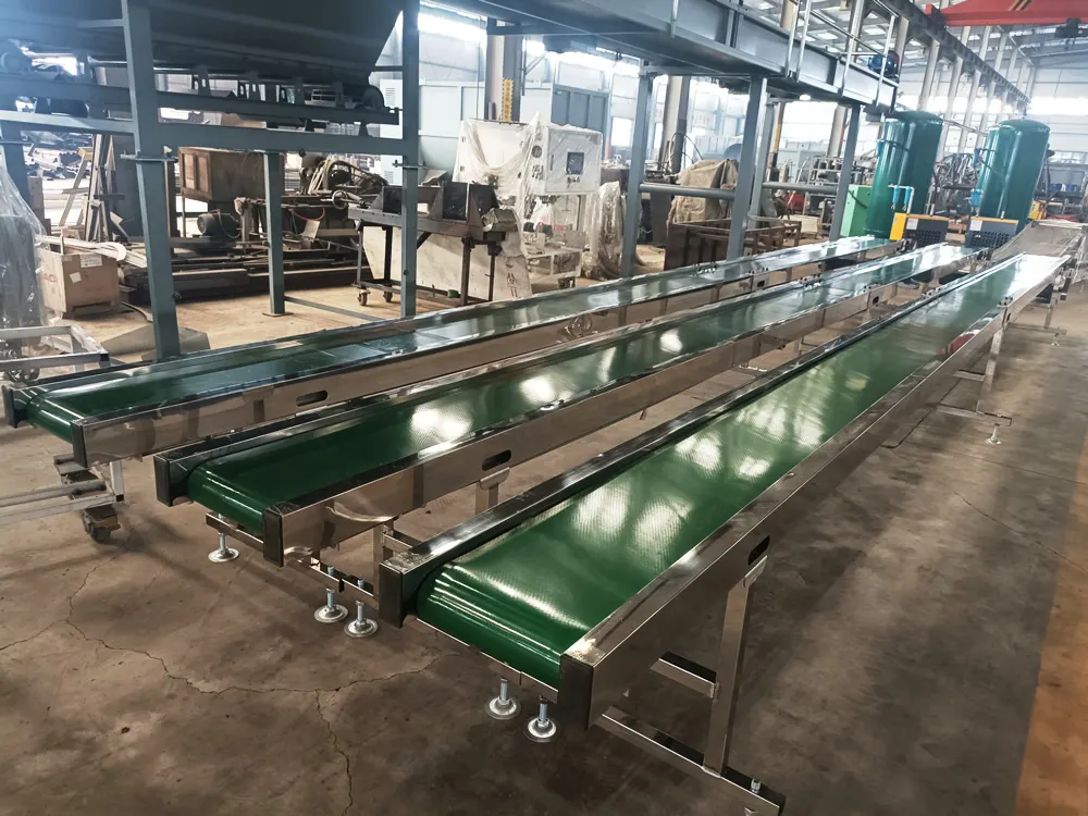 BCXH60A Belt Conveyor - Image 3