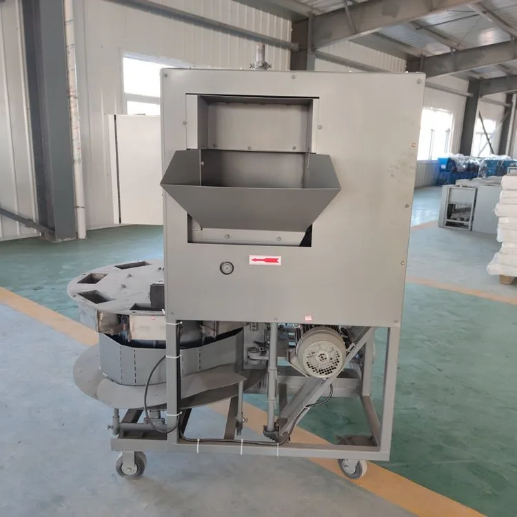 BMXH1000A Bag Filling Machine - Image 6