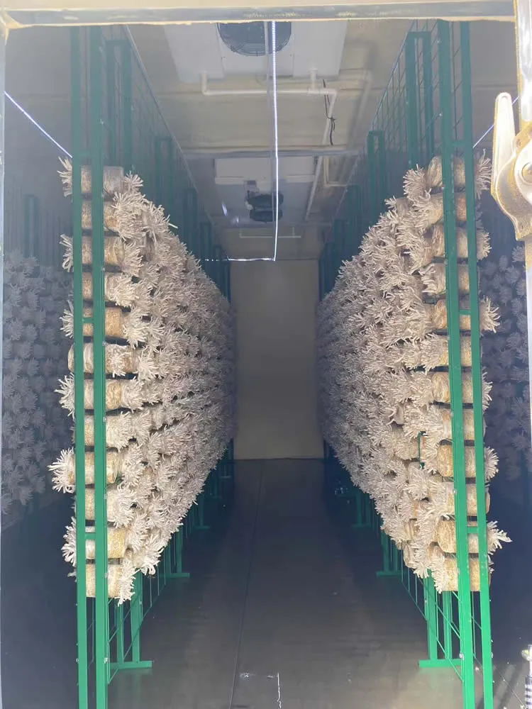 FRXH001A Mushroom Fruiting Rack - Image 10