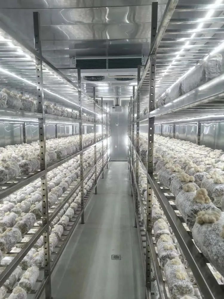 FRXH001A Mushroom Fruiting Rack - Image 11