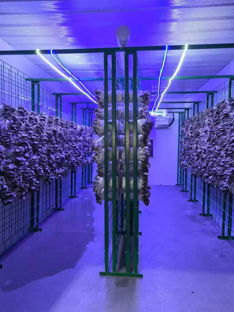 FRXH001A Mushroom Fruiting Rack - Image 2