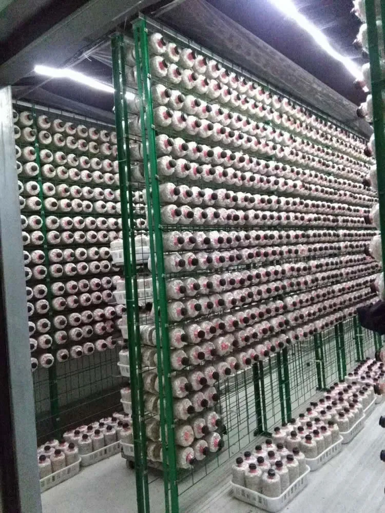 FRXH001A Mushroom Fruiting Rack - Image 9