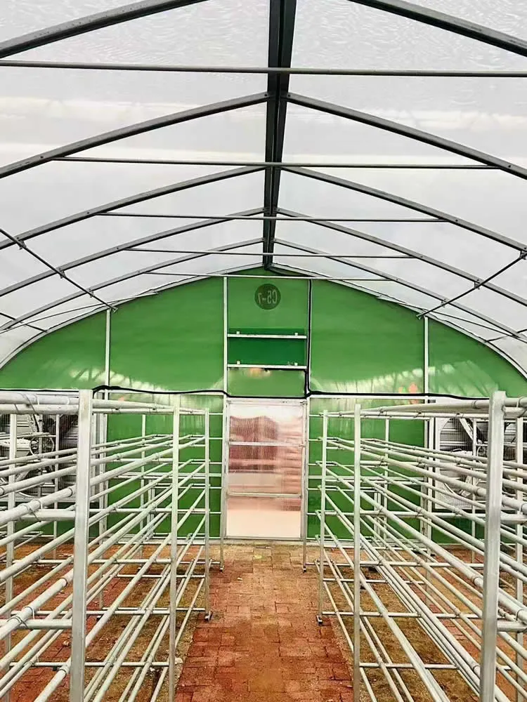 GHXH6A Greenhouse - Image 2
