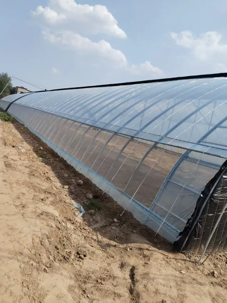 GHXH6A Greenhouse - Image 3