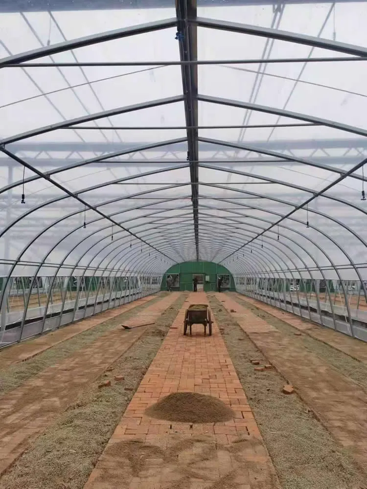 GHXH6A Greenhouse - Image 4