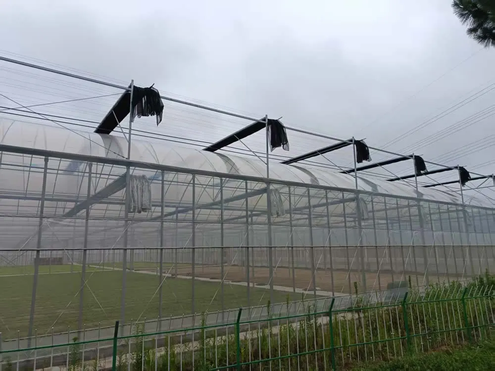 GHXH6A Greenhouse - Image 7