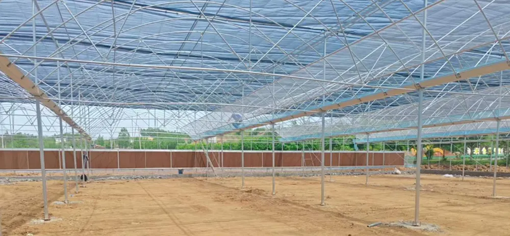 GHXH6A Greenhouse - Image 9