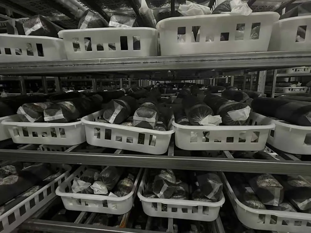 IRXH001A Mushroom Incubation Rack - Image 10