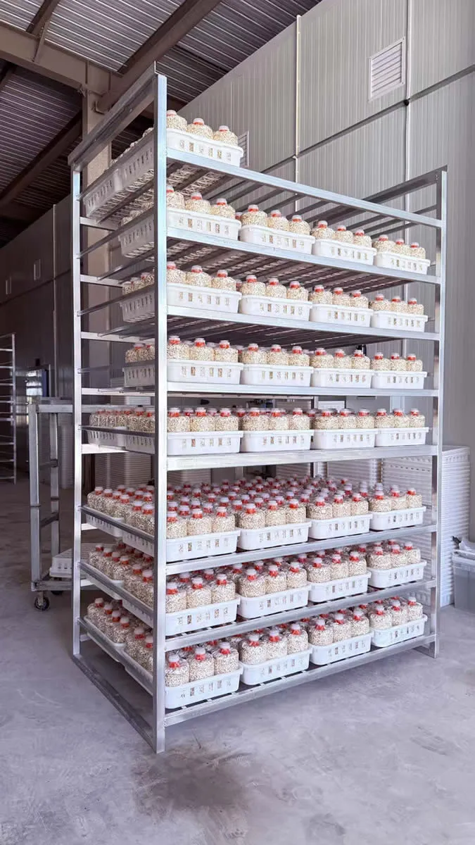 IRXH001A Mushroom Incubation Rack - Image 3