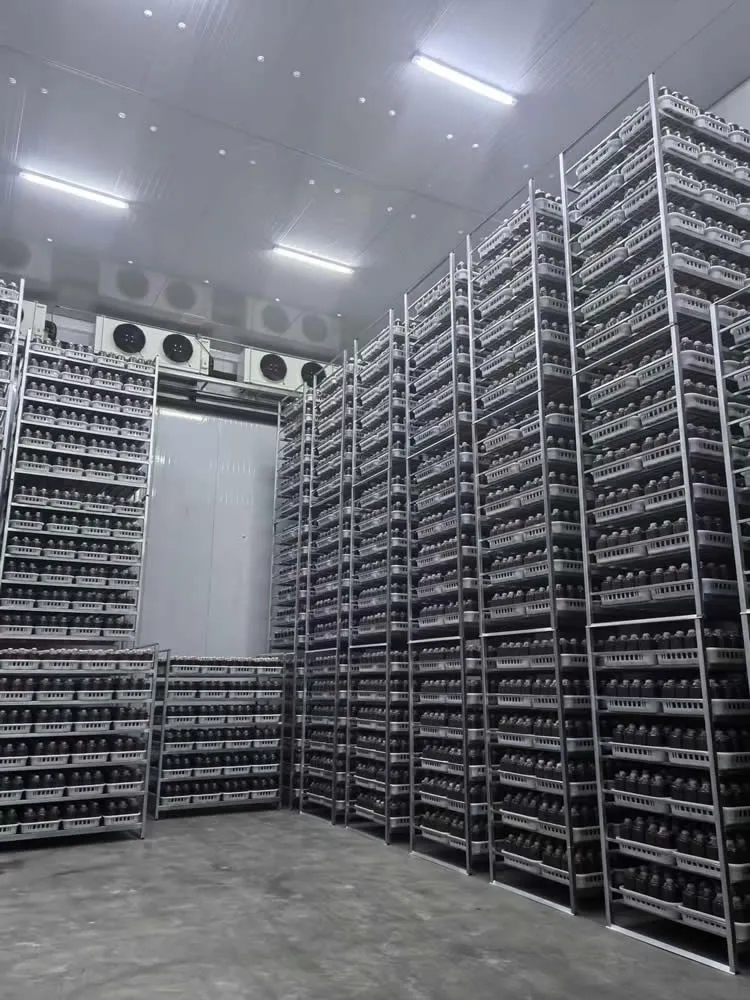 IRXH001A Mushroom Incubation Rack - Image 4
