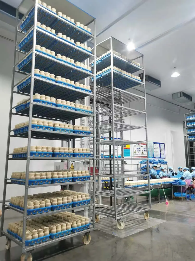 IRXH001A Mushroom Incubation Rack - Image 7