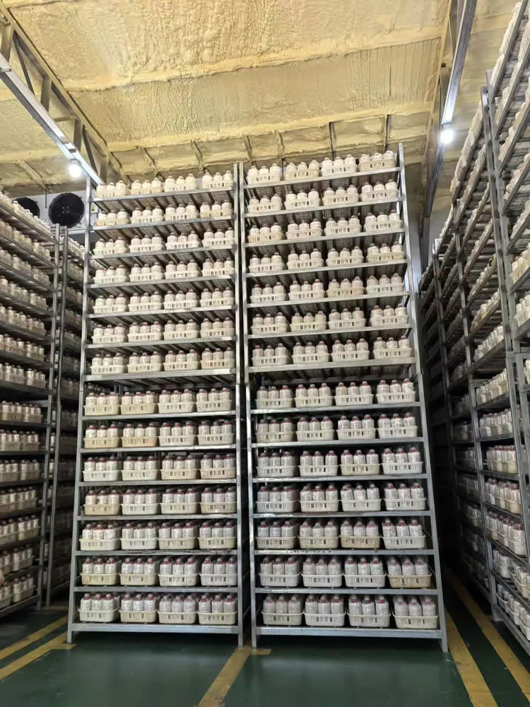 IRXH001A-Mushroom-Incubation-Rack