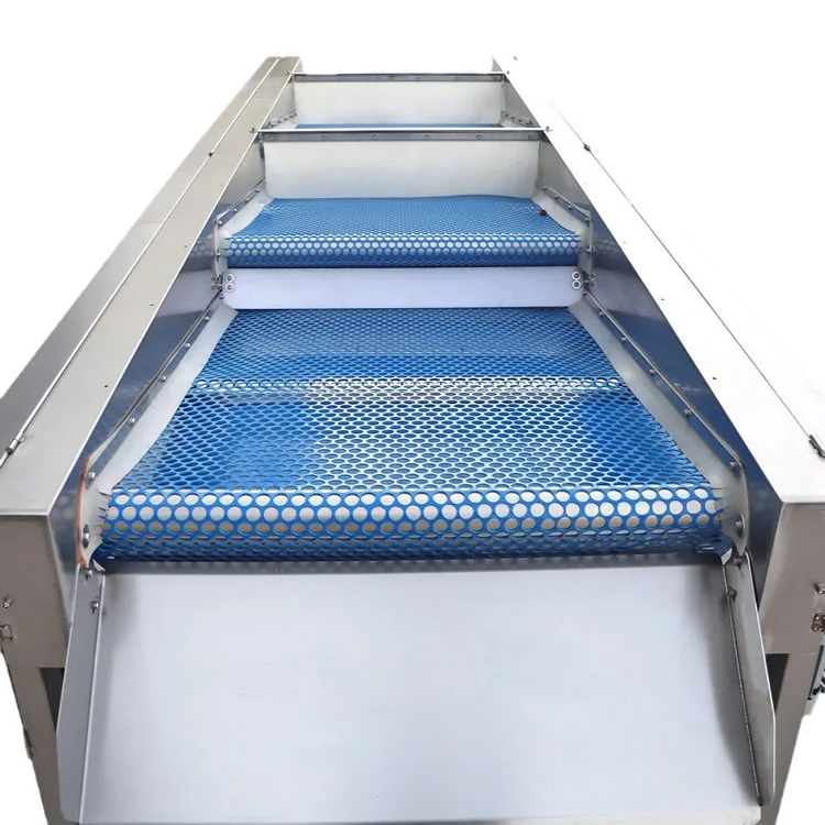 PBSMXH750A Perforated Belt Sorting Machine - Image 2