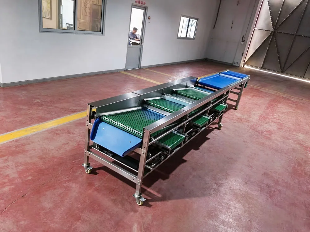 PBSMXH750A Perforated Belt Sorting Machine - Image 3