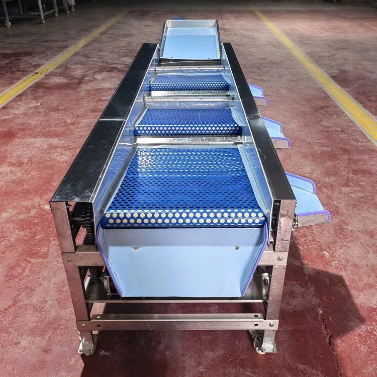 PBSMXH750A Perforated Belt Sorting Machine - Image 4