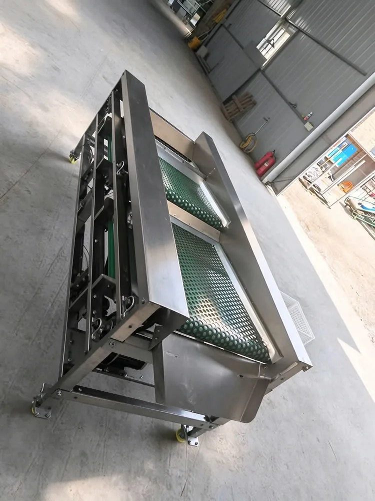 PBSMXH750A Perforated Belt Sorting Machine - Image 5