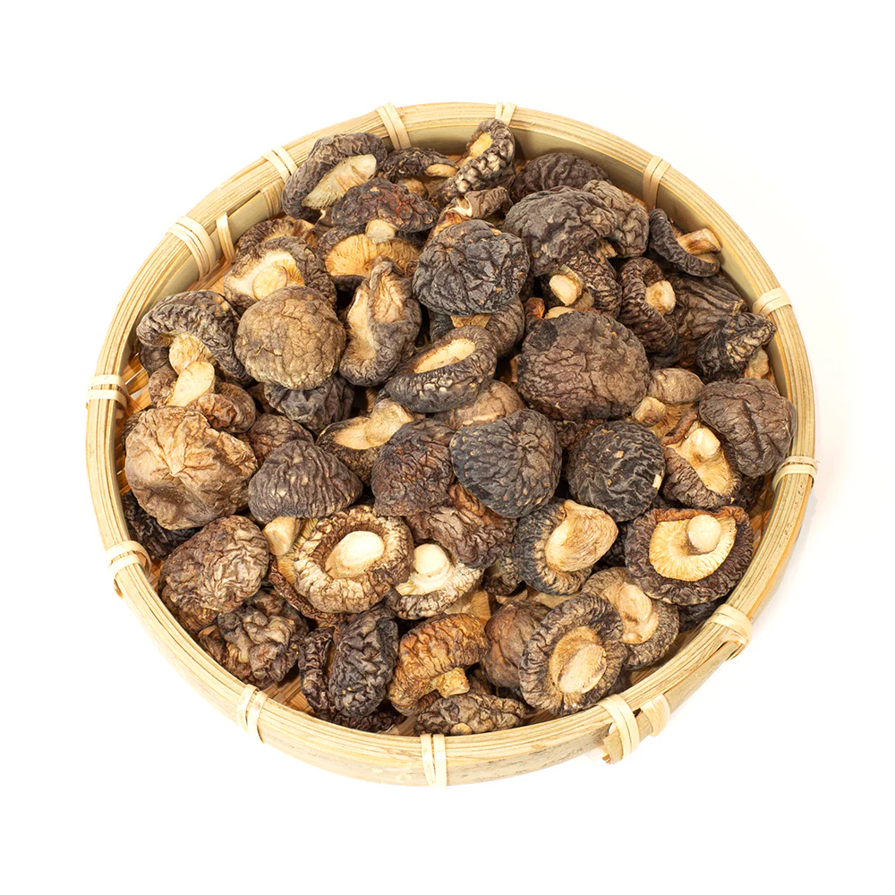 Shiitake Mushroom Preservation and Processing — Practical Technical Guide 1