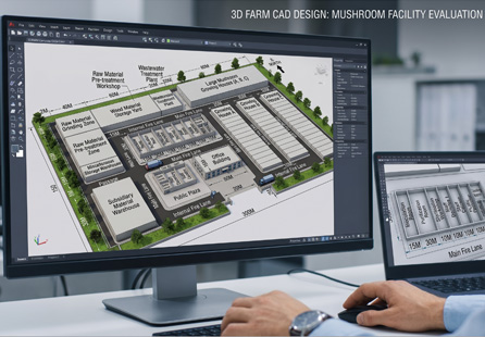 Xinhai consulting with client on custom mushroom farm layout and initial demand assessment.